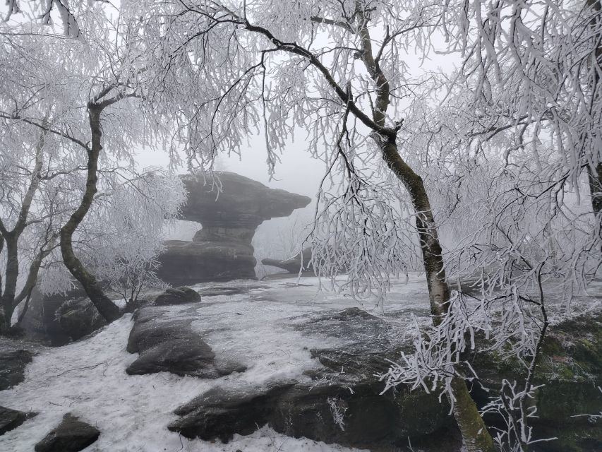 From Prague: Bohemian & Saxon Switzerland Iconic Day Trip - Should you book it?