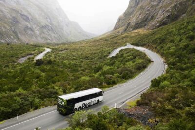 From Queenstown: Milford Sound Cruise and Coach Day Trip