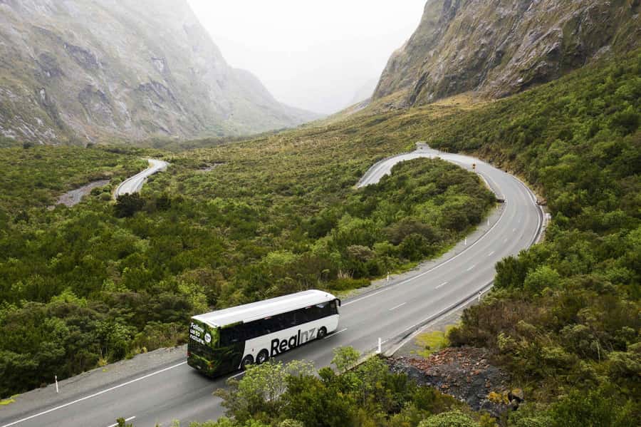 From Queenstown: Milford Sound Cruise and Coach Day Trip - Starting at Steamer Wharf in Queenstown