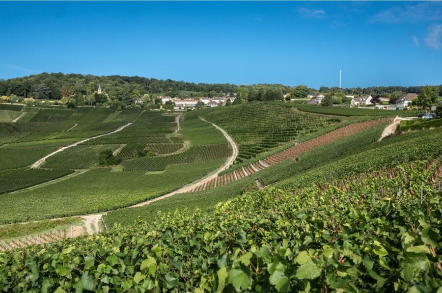From Reims: Champagne Day Trip to 3 Family Domains & Lunch - Transport, timing, and the Paris connection