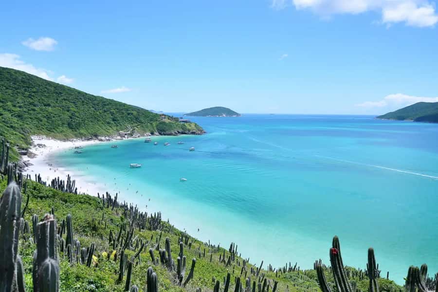 From Rio de Janeiro: Arraial do Cabo Island Day Trip - Key points to know before booking