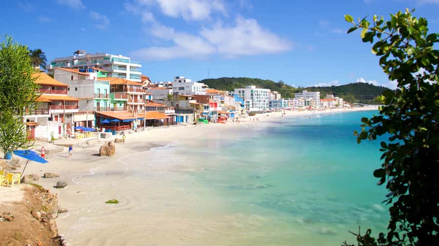 From Rio de Janeiro: Arraial do Cabo Island Day Trip - Who will enjoy this trip most
