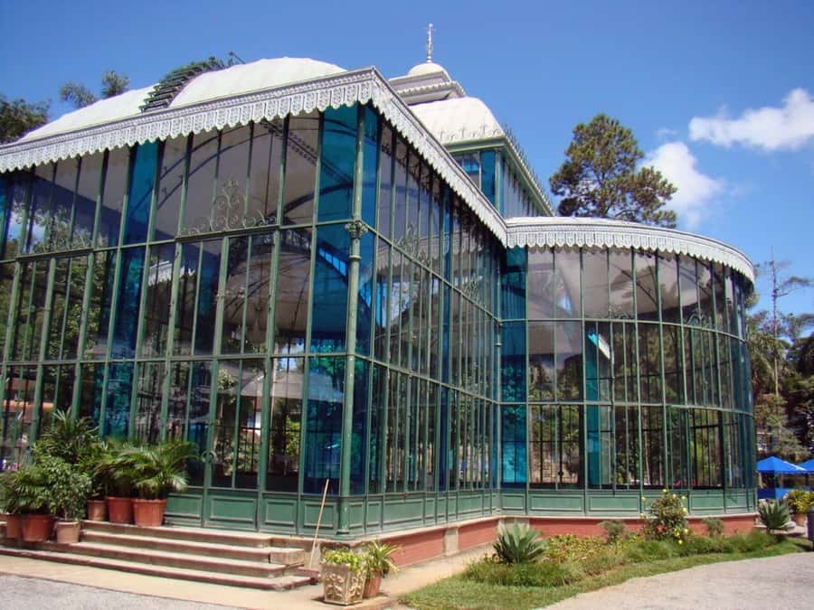 From Rio de Janeiro: Petrópolis Day Trip with Optional Lunch - Guide quality and the multilingual group