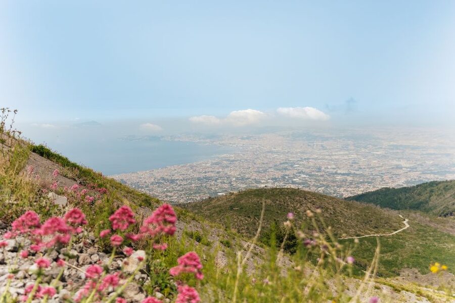 From Rome: Pompeii Day Trip with Optional Vesuvius and Lunch - Optional Neapolitan lunch with a view