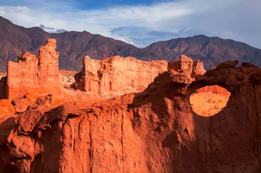 From Salta: Cafayate Day Trip with Wine Tasting - What the winery visit really offers