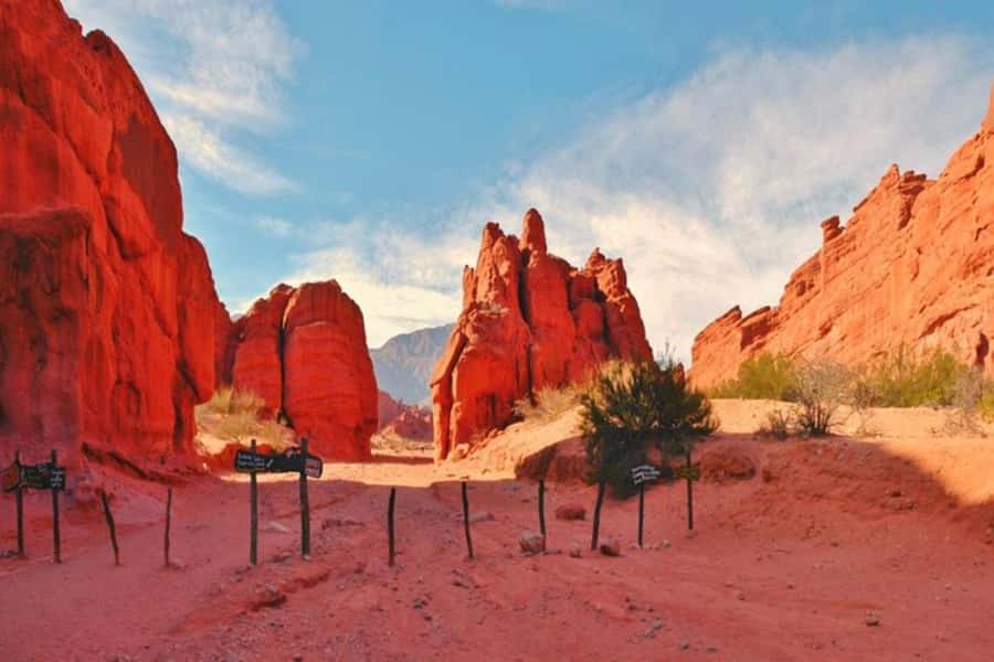 From Salta: Day Trip to Cafayate - Should you book it?