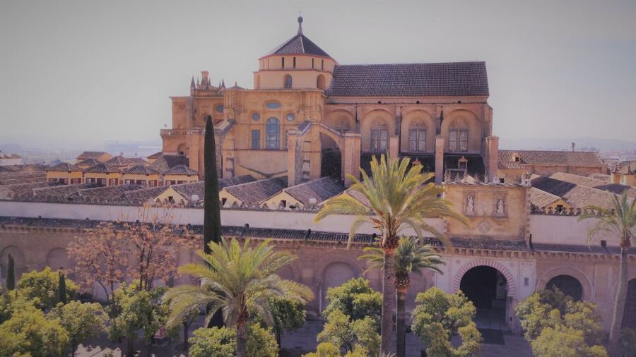 From Seville: Cordoba, the Mosque and Carmona Day Trip - Transport, group rhythm, and the long return