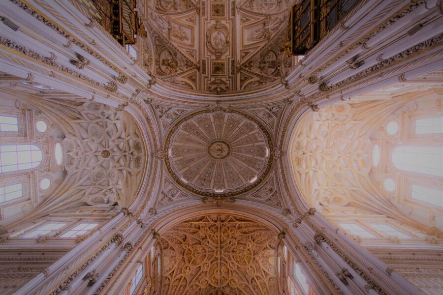 From Seville: Cordoba, the Mosque and Carmona Day Trip - Who should book this day trip?