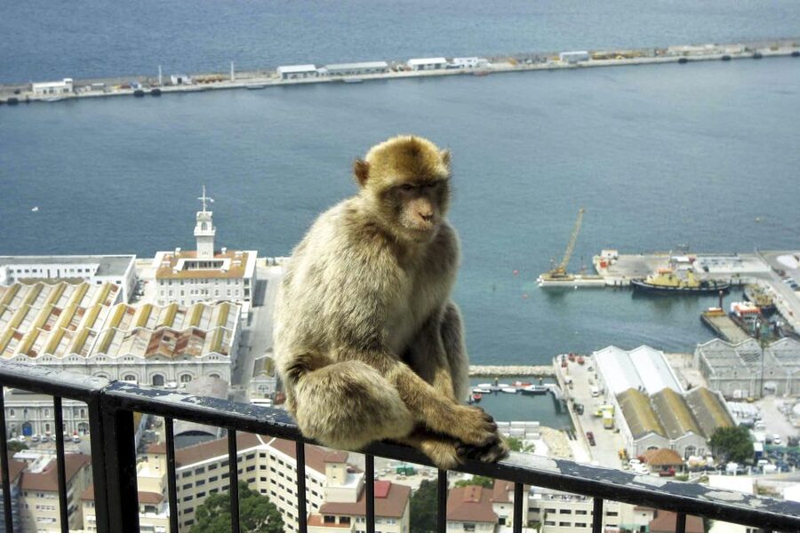 From Seville: Day Trip to Gibraltar - Why Gibraltar works as a day trip from Seville