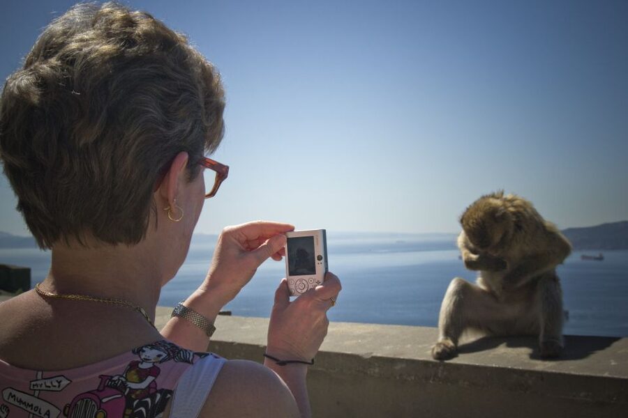 From Seville: Day Trip to Gibraltar - Main Street, lunch, and duty-free shopping