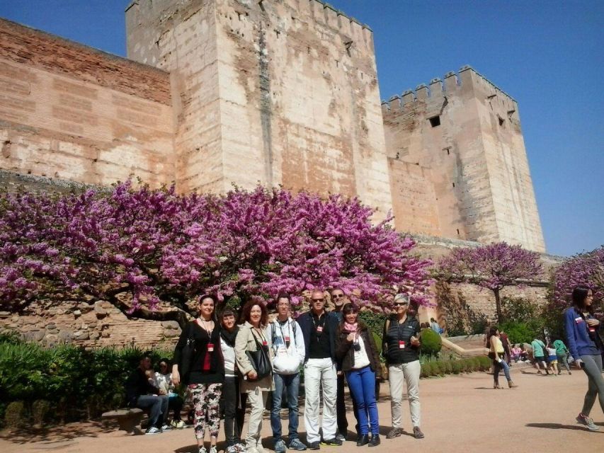 From Seville: Granada Day Trip with Alhambra and Albaicín - Languages, guide style, and group experience