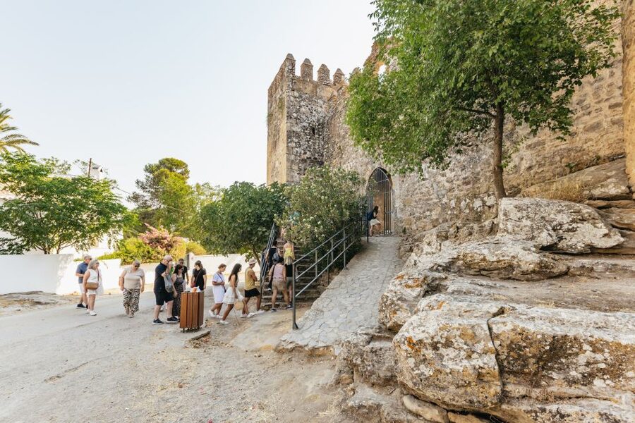 From Seville: Pueblos Blancos and Ronda Full-Day Trip - Who should book this tour?
