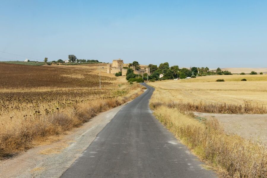 From Seville: Pueblos Blancos and Ronda Full-Day Trip - Olive oil at Molino El Vínculo