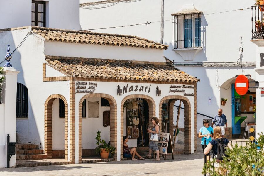 From Seville: Pueblos Blancos and Ronda Full-Day Trip - Grazalema, lunch, and the natural park