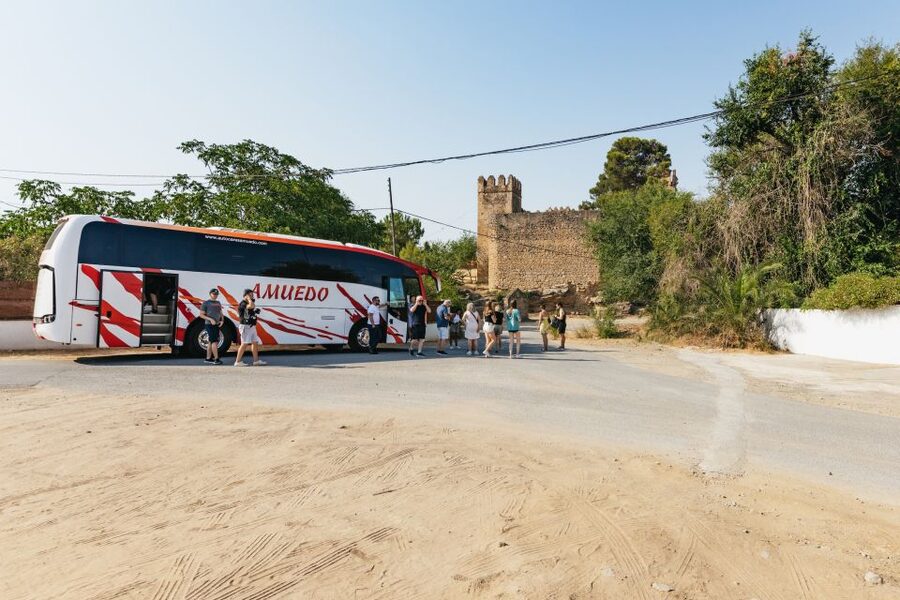 From Seville: Pueblos Blancos and Ronda Full-Day Trip - Ronda and the New Bridge