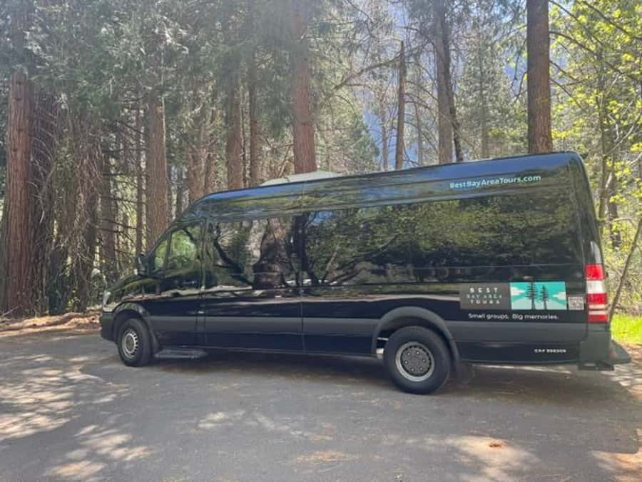 From SF: Yosemite Day Trip with Giant Sequoias Hike & Pickup - Valley View gives you one more strong photograph