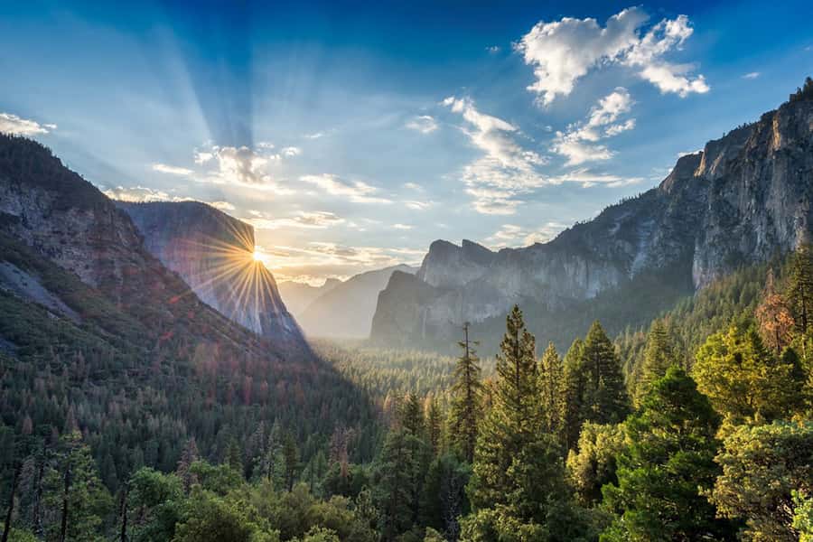From SF: Yosemite Day Trip with Giant Sequoias Hike & Pickup - What the $239 price really buys