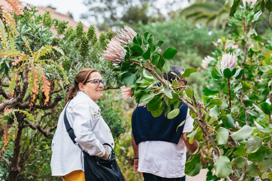 From South Tenerife: La Gomera Island Day Trip with Lunch - Key points at a glance
