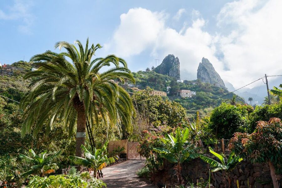 From South Tenerife: La Gomera Island Day Trip with Lunch - Garajonay National Park and the old laurel forest