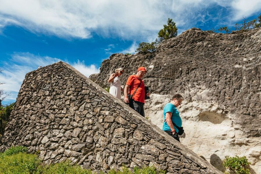 From South Tenerife: La Gomera Island Day Trip with Lunch - Lunch with Silbo Gomero