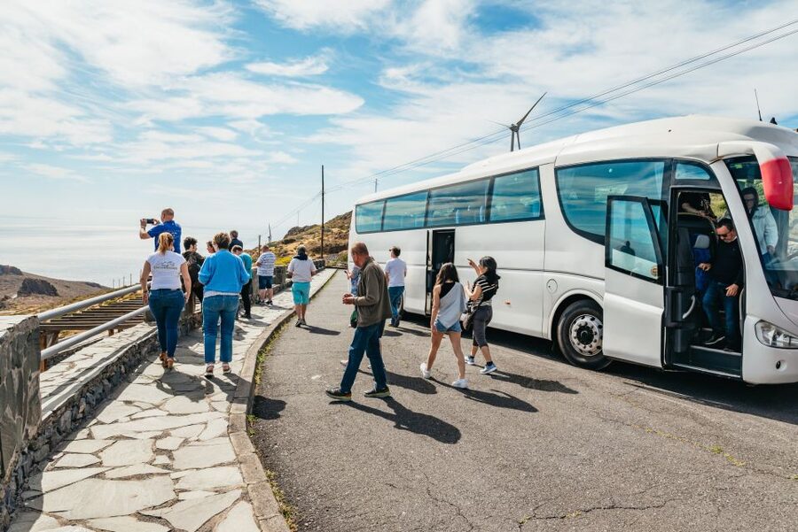 From South Tenerife: La Gomera Island Day Trip with Lunch - Guides, languages, and the pace of commentary