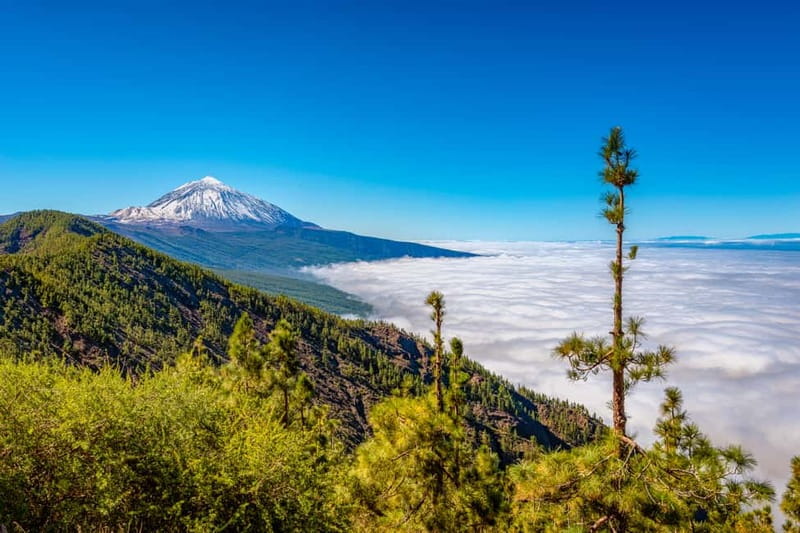 From South Tenerife: Mount Teide Hiking Day Trip & Cable Car - What the small group changes