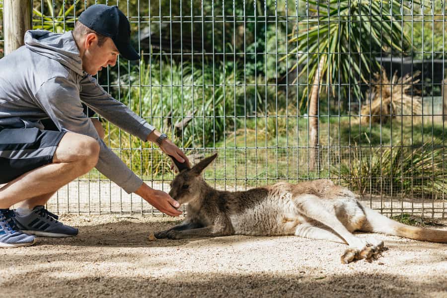 From Sydney: Blue Mountains Full-Day Trip - Leura Village gives you lunch freedom