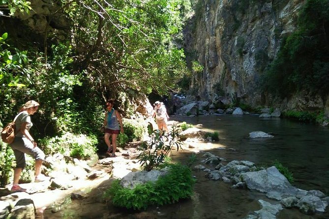 From Tangier: Day Trip to Chefchaouen and Akchour Waterfalls - Swimming, Photos, and What the Waterfall Stop Feels Like