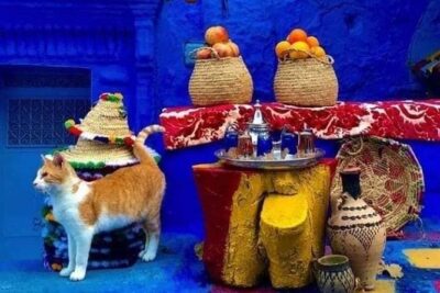 From Tangier: Special Day Trip to Chefchaouen and Tetouan