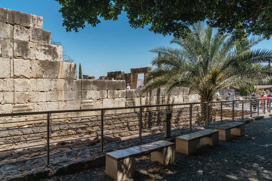 From Tel Aviv: Guided Day Trip to Nazareth & Sea of Galilee - Capernaum and the ancient synagogue ruins