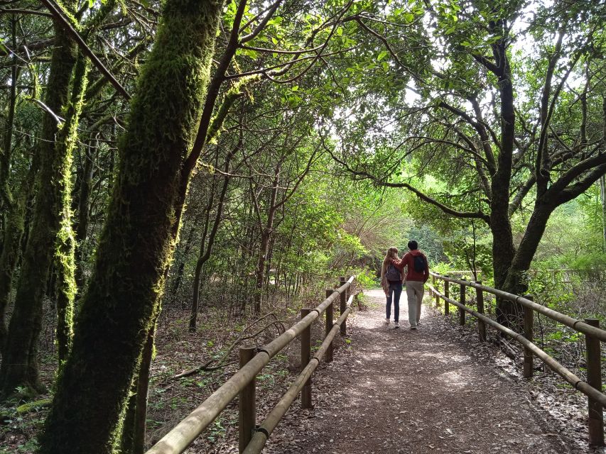 From Tenerife: La Gomera Day Trip with Guide - Entering Garajonay National Park