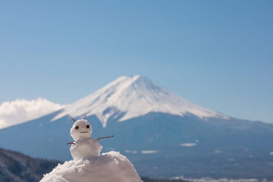 From Tokyo: Mount Fuji Customizable Private Day Tour - A private route to Mount Fuji, not a fixed bus loop
