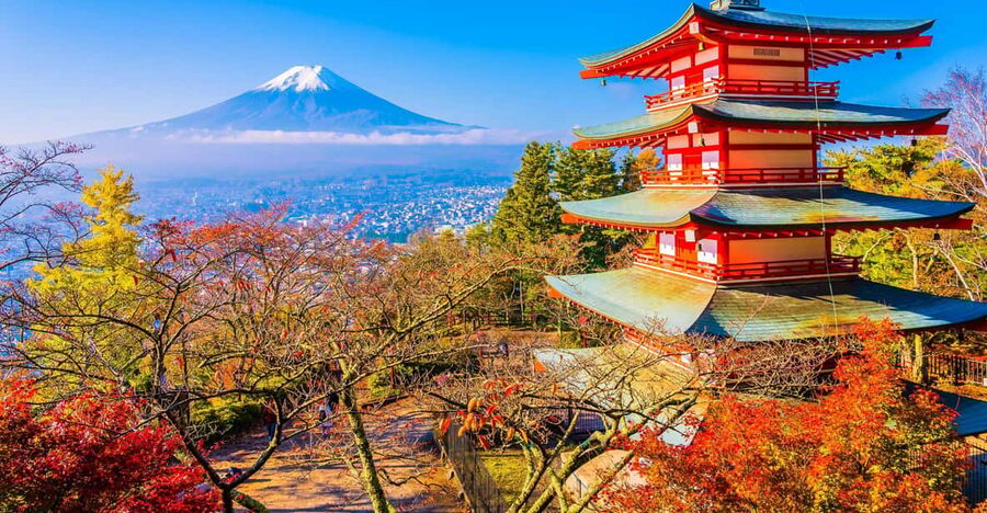 From Tokyo: Mount Fuji Customizable Private Day Tour - The 5th Station depends on weather and road access