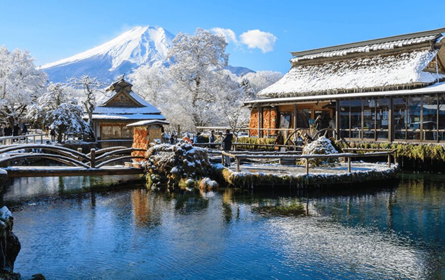 From Tokyo: Mount Fuji Customizable Private Day Tour - Oishi Park and the Kachi Kachi Ropeway
