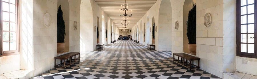 From Tours/Amboise: Chenonceau & Chambord Chateaux Day Trip - What the guide adds to the castles