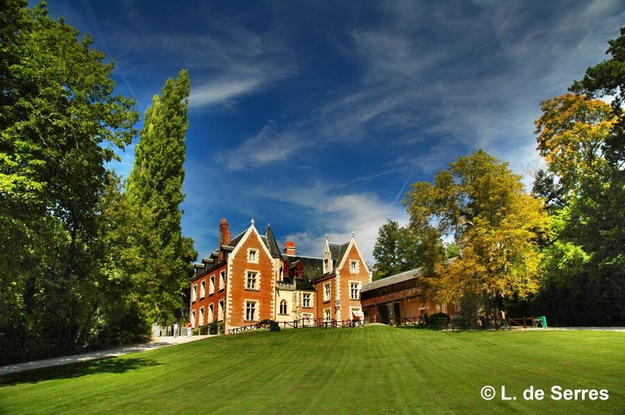 From Tours/Amboise: Chenonceau & Chambord Chateaux Day Trip - Who should book this experience?