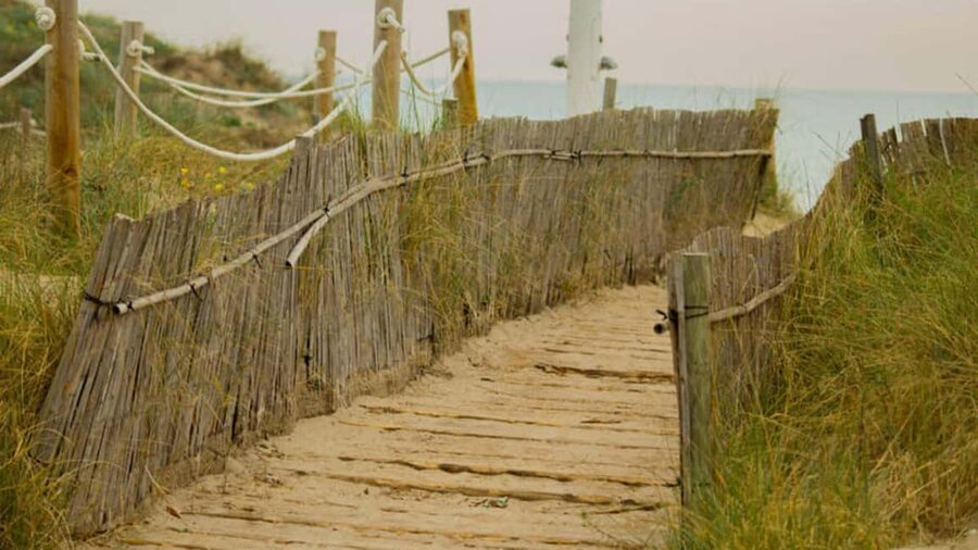 From Valencia: Albufera Day Trip with Boat Tour and Transfer - Why Albufera makes a fine break from Valencia