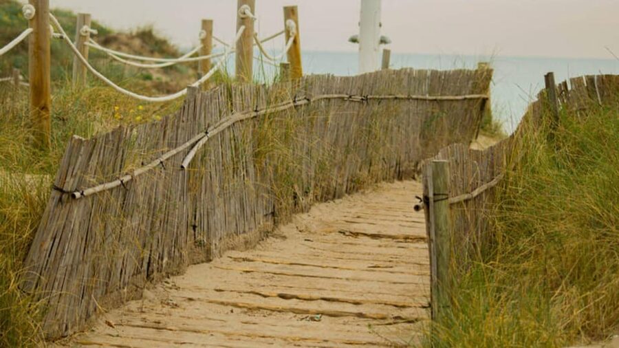 From Valencia: Albufera Day Trip with Boat Tour and Transfer - El Palmar, a fishing village on the lagoon