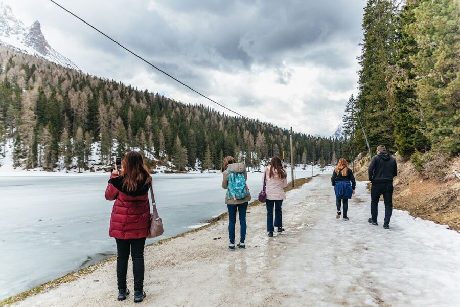 From Venice: Cortina and Dolomites Mountains Day Trip - What the driver adds to the day
