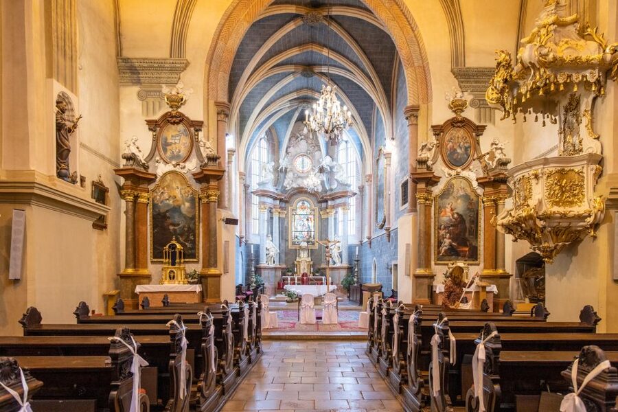 From Vienna: Bratislava Day Trip - My Take on the $123 Price