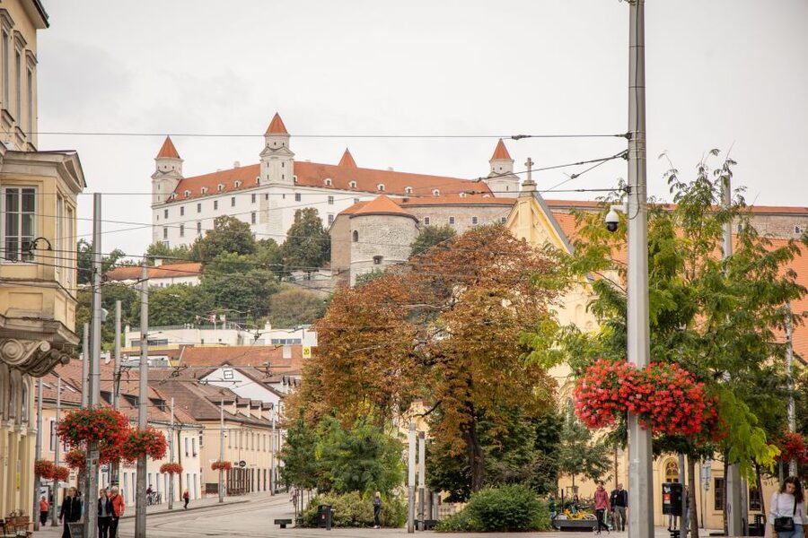 From Vienna: Bratislava Day Trip - Guides and Language Choices