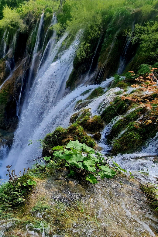 From Zadar: Plitvice Lakes Day Trip with Guide and Boat Tour - Key points to know before you book