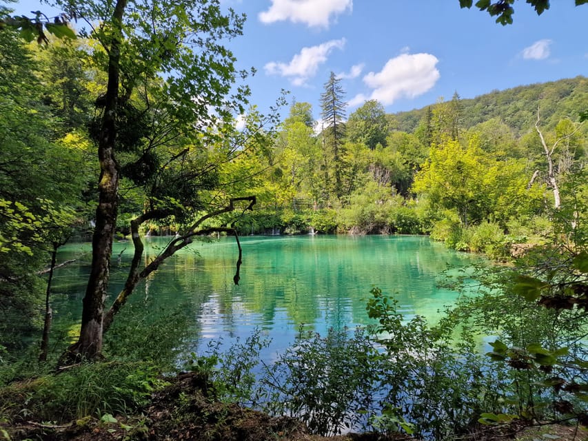 From Zadar: Plitvice Lakes Day Trip with Guide and Boat Tour - The electric boat gives you a welcome change of view