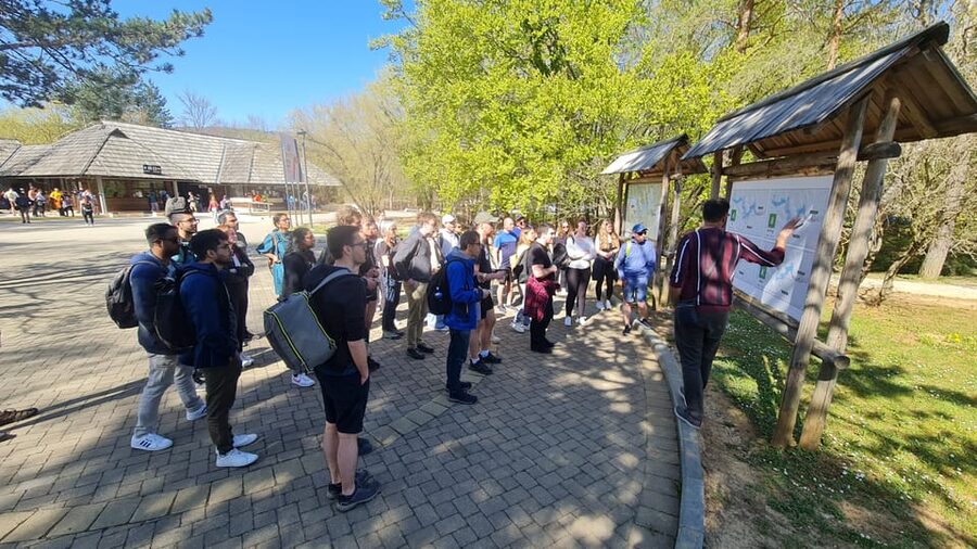 From Zadar: Plitvice Lakes Day Trip with Guide and Boat Tour - The panoramic train saves your legs