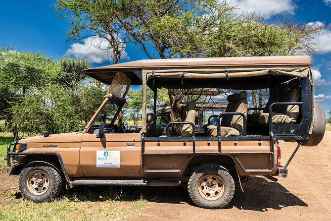 From Zanzibar: Mikumi Safari Day Trip with Flights and Meal - The afternoon drive and return flight