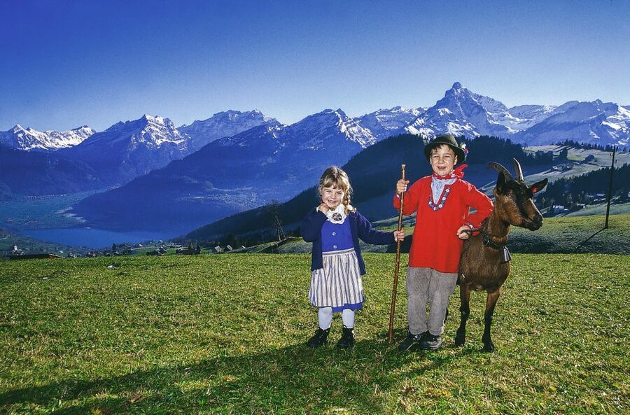 From Zurich: Bus Day Trip to Heidiland and Liechtenstein - Rapperswil, castles, and lake views