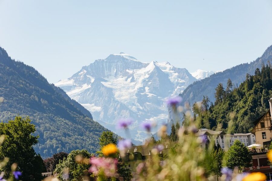 From Zurich: Day Trip to Jungfraujoch - Top of Europe - Weather, Clothing, and Altitude