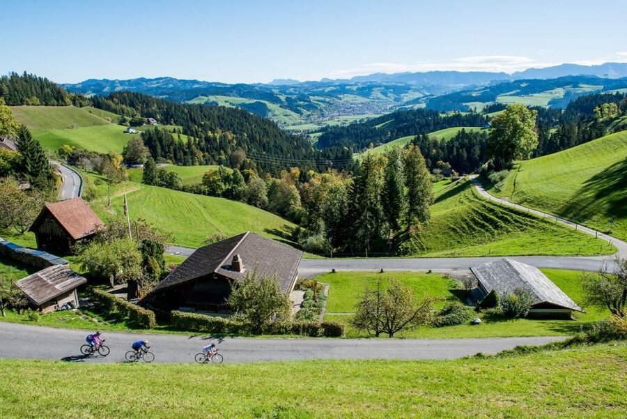 From Zurich/Lucerne: Berne Capital and Countryside Day-Trip - The schedule, comfort, and small-group feel