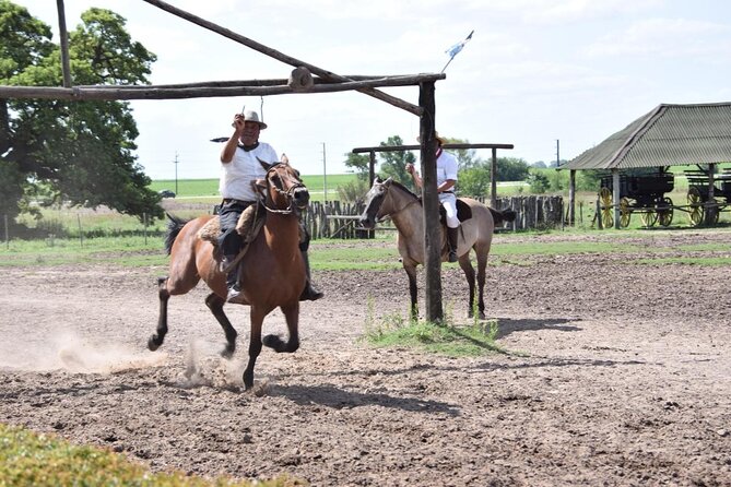 Gaucho Day Trip from Buenos Aires: Santa Susana Ranch - Key points to know before you go