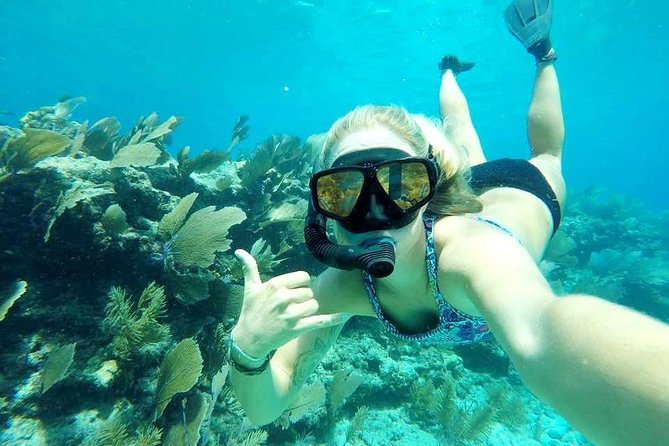 Half-Day Trip from Key West with Kayaking, Snorkeling & Sunset - Food, drinks, and the ride home